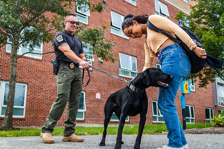 On a campus sidewalk, a police officer guides a dog while a student pets it.