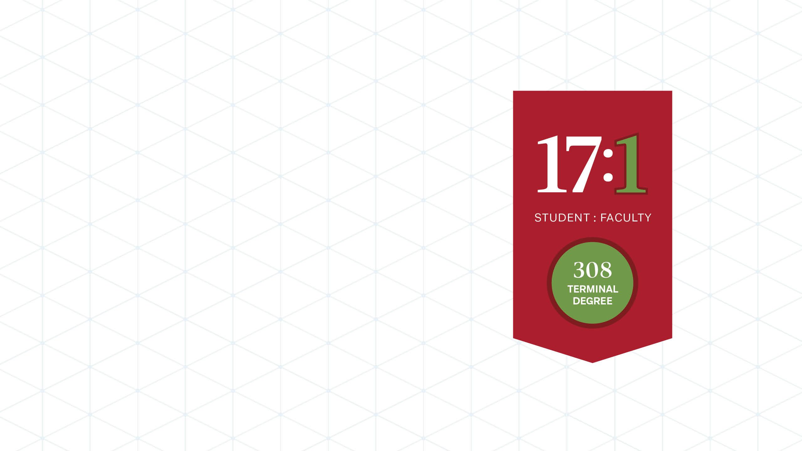 A graphic about faculty statistics with a red background and white and green text that says “17 to 1 student to faculty ratio” and “308 terminal degree.”