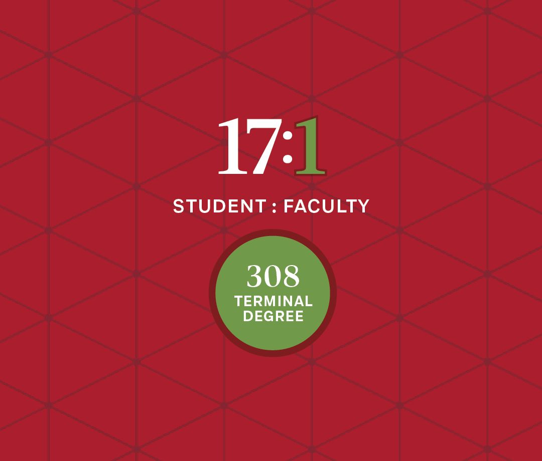 A graphic about faculty statistics with a red background and white and green text that says “17 to 1 student to faculty ratio” and “308 terminal degree.”