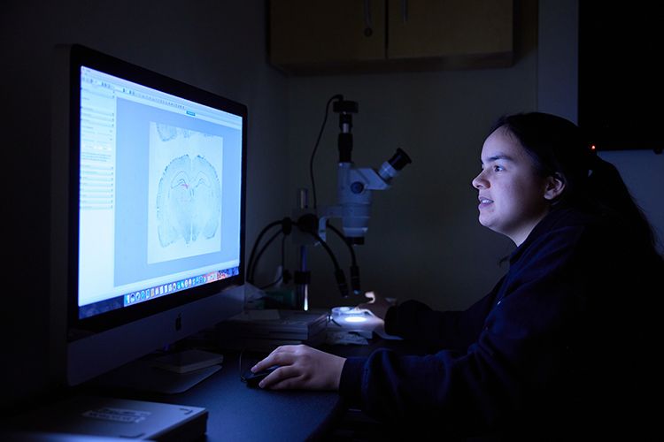 A student looks at a computer screen with a microscope in the background.  