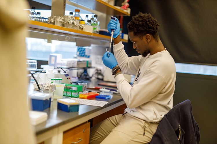 A student uses a pipette in a science lab.