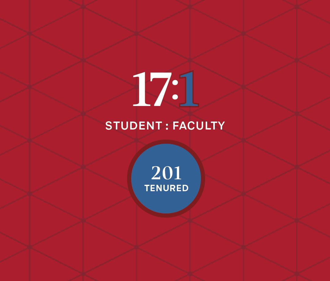 A graphic about faculty statistics with a red background and white and blue text that says “17 to 1 student to faculty ratio” and “201 tenured.”