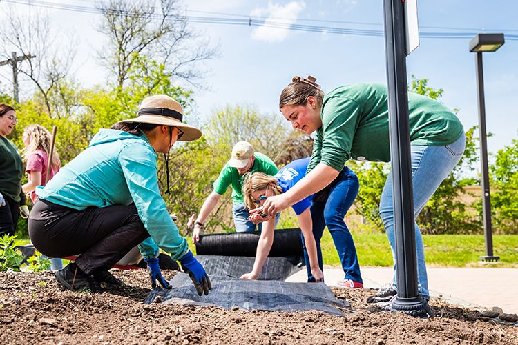 Several people work in a garden on campus.