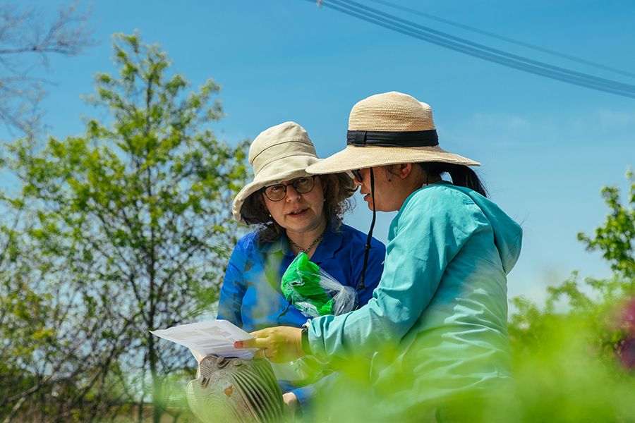 Two people converse while standing above a garden on campus.